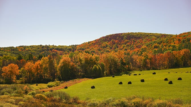 Top Killington Activities and Tours