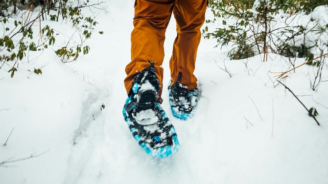 Your Guide to the Best Killington Snowshoe Tours