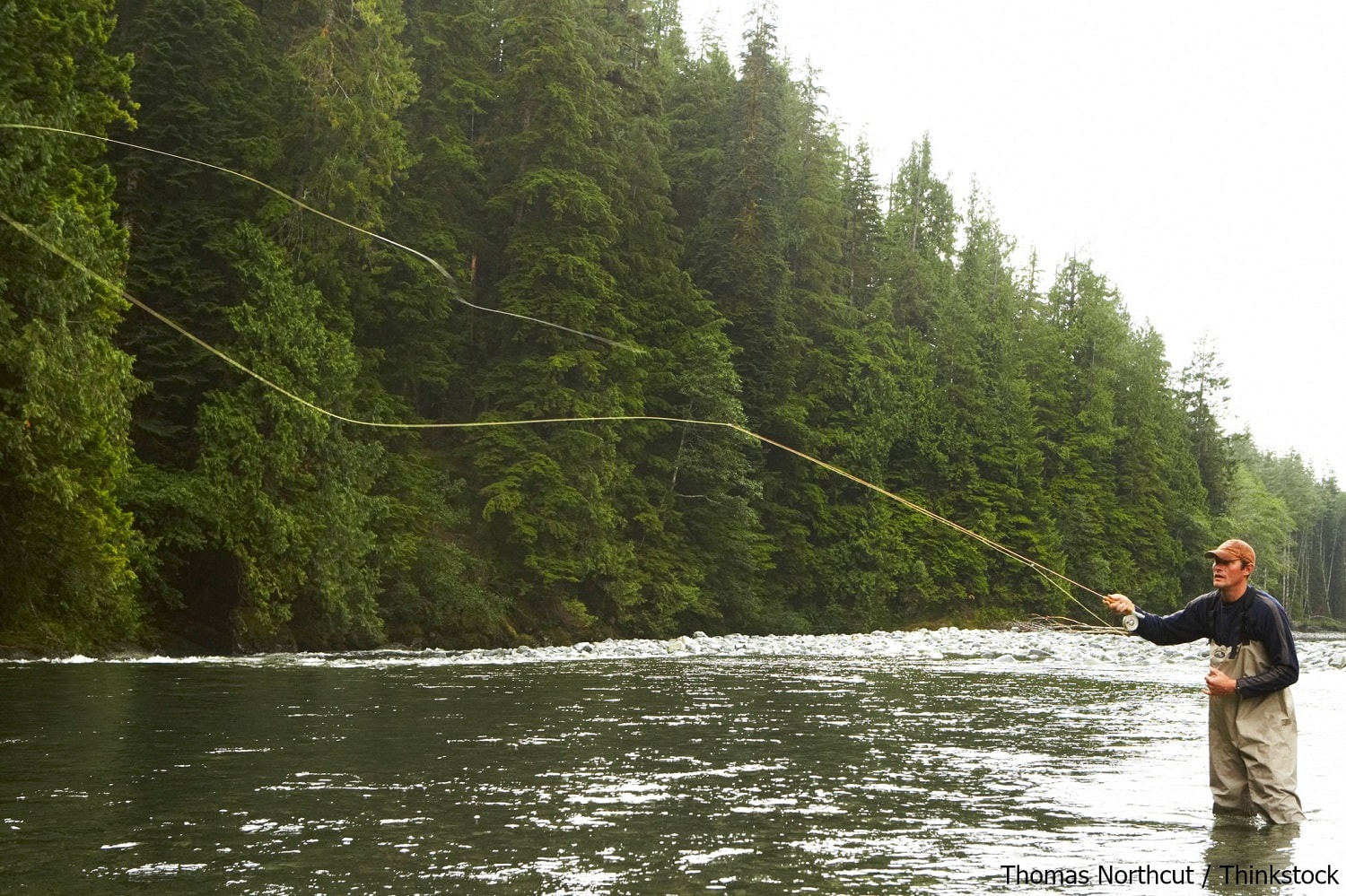 Everything You Need to Know About Fishing Otter Creek, VT