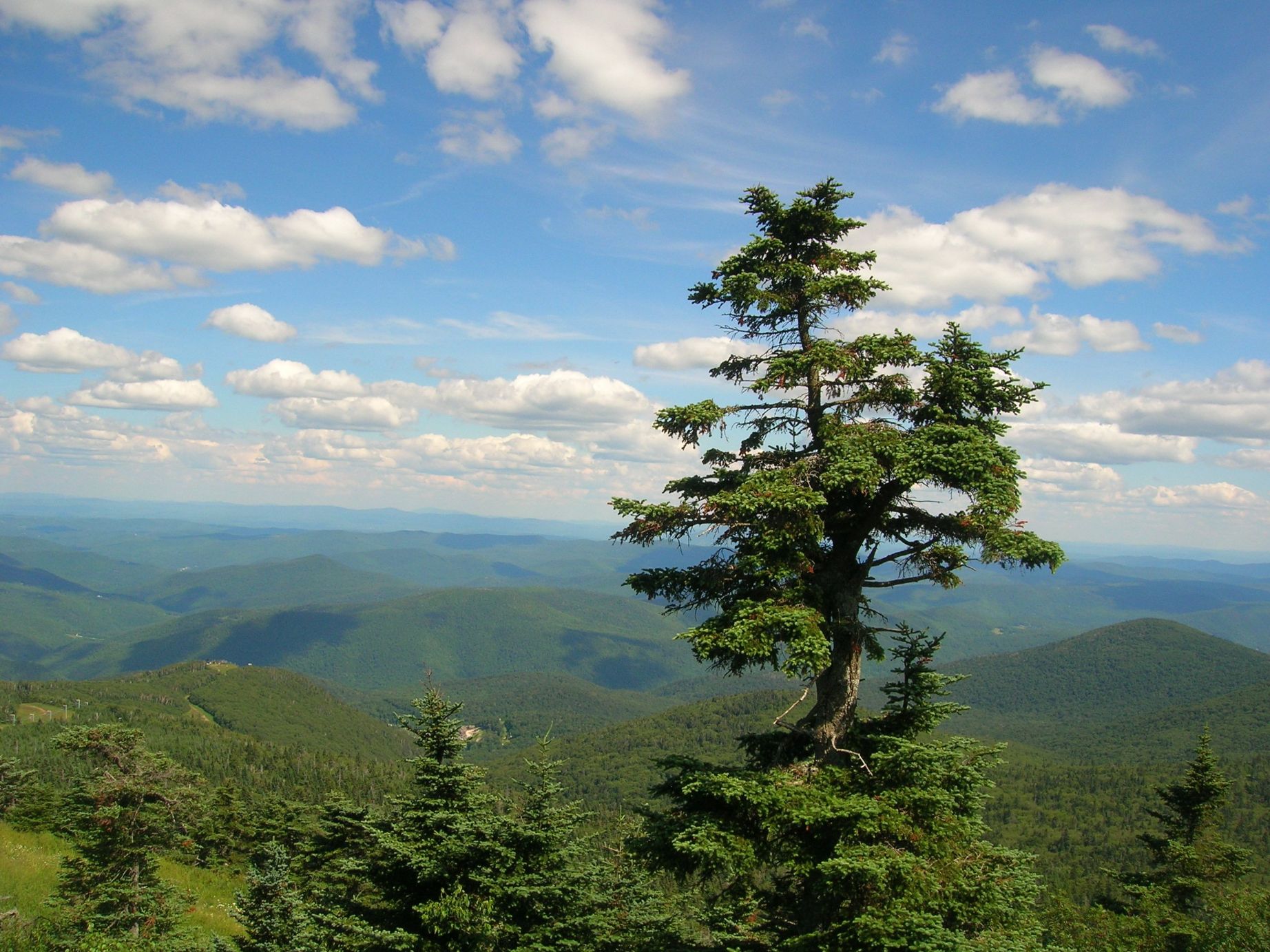 Killington, VT Hiking 