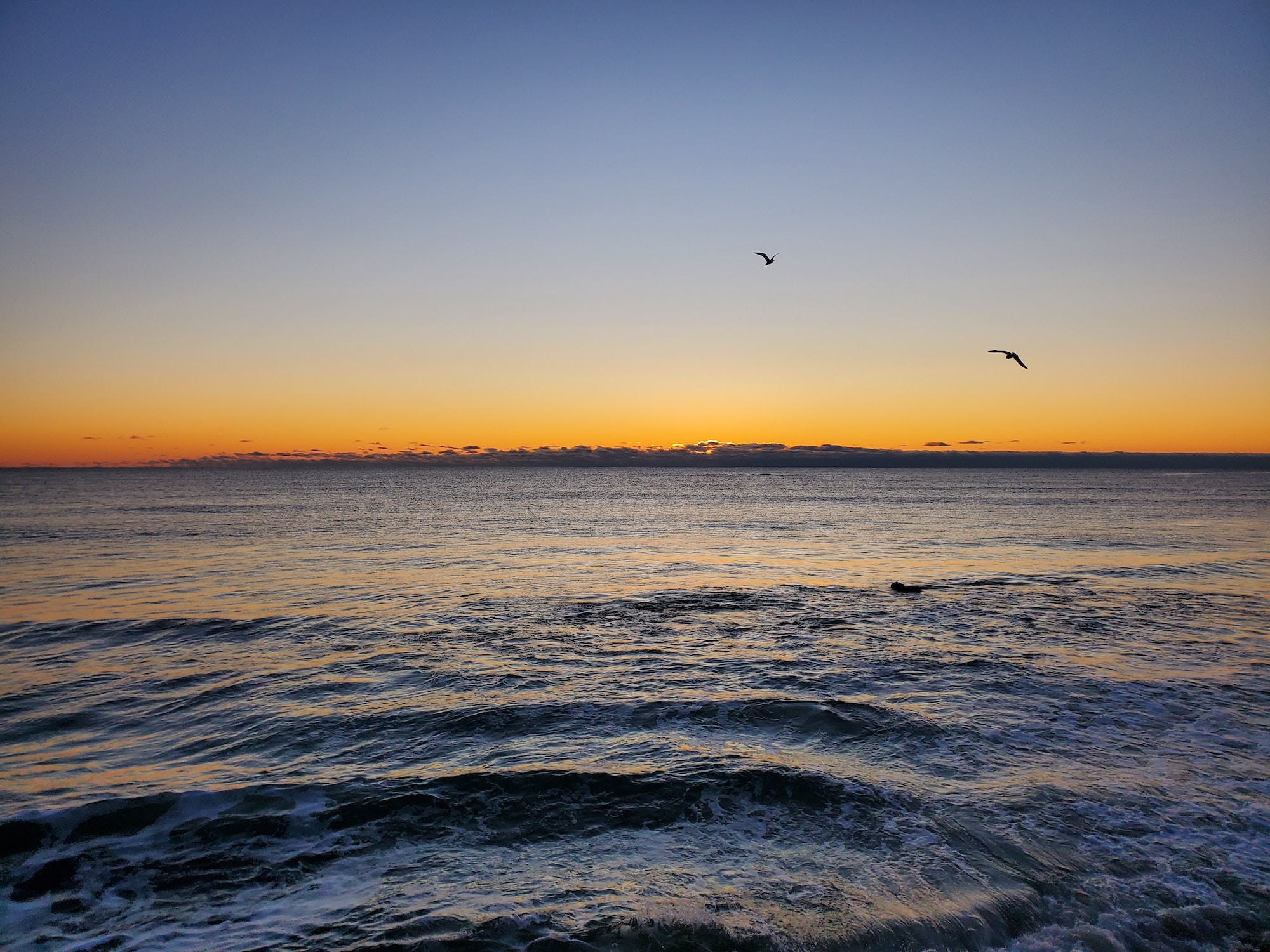 Moody Beach House Rentals