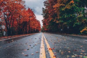 Killington Fall Journey